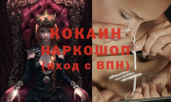 соль ск Пересвет