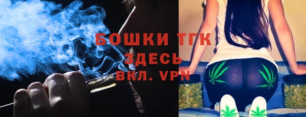 соль ск Пересвет